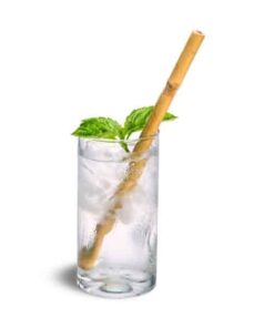 Bamboo Straw + Plastic free Agave Fiber Cleaner