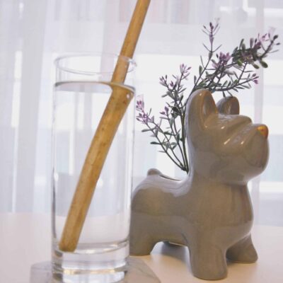 Bamboo Straws